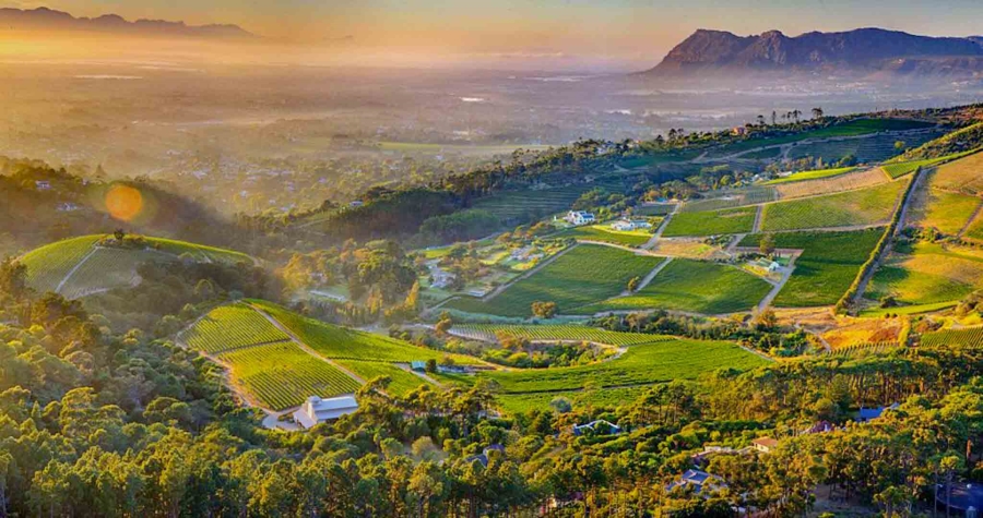 0 Bedroom Property for Sale in Belle Constantia Western Cape